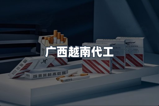 广西越南代工